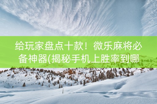 给玩家盘点十款！微乐麻将必备神器(揭秘手机上胜率到哪调)