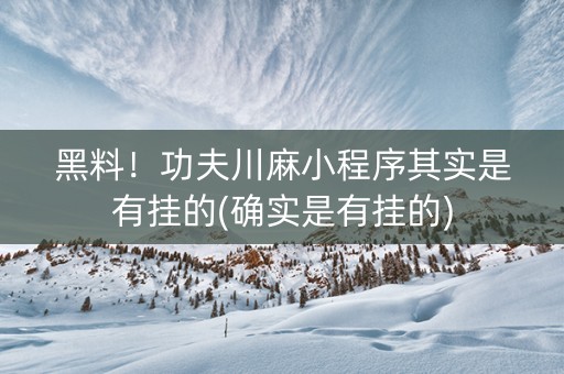 黑料！功夫川麻小程序其实是有挂的(确实是有挂的)