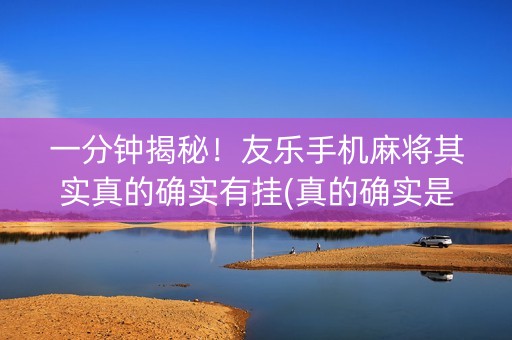 一分钟揭秘！友乐手机麻将其实真的确实有挂(真的确实是有挂)
