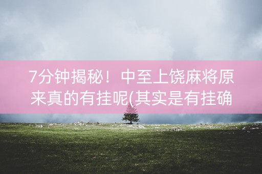7分钟揭秘！中至上饶麻将原来真的有挂呢(其实是有挂确实有挂)