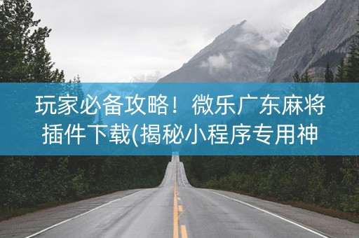 玩家必备攻略！微乐广东麻将插件下载(揭秘小程序专用神器)