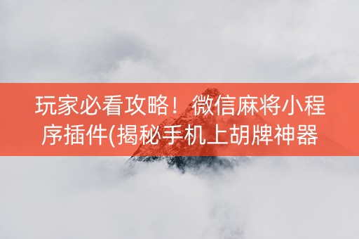 玩家必看攻略！微信麻将小程序插件(揭秘手机上胡牌神器)