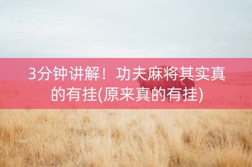 3分钟讲解！功夫麻将其实真的有挂(原来真的有挂)