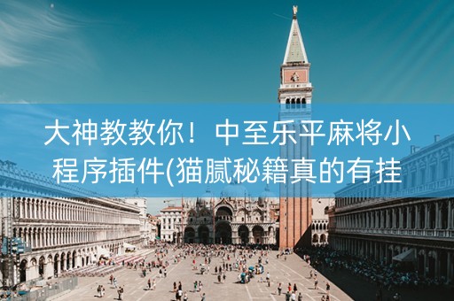 大神教教你！中至乐平麻将小程序插件(猫腻秘籍真的有挂)