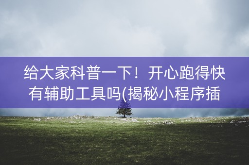 给大家科普一下！开心跑得快有辅助工具吗(揭秘小程序插件免费)