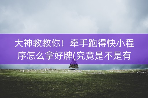 大神教教你！牵手跑得快小程序怎么拿好牌(究竟是不是有挂)