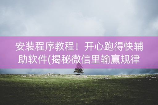 安装程序教程！开心跑得快辅助软件(揭秘微信里输赢规律)