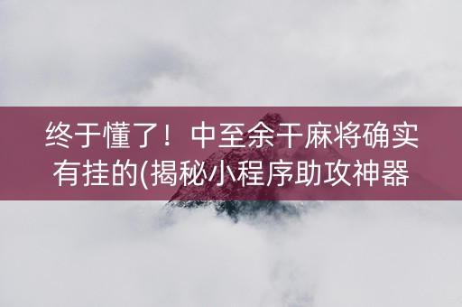 终于懂了！中至余干麻将确实有挂的(揭秘小程序助攻神器)