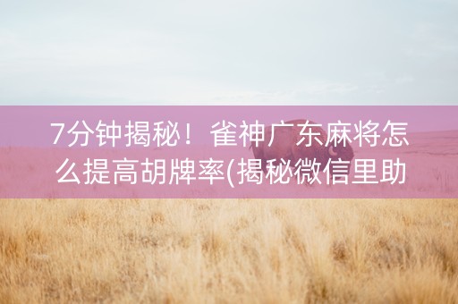 7分钟揭秘！雀神广东麻将怎么提高胡牌率(揭秘微信里助赢神器)