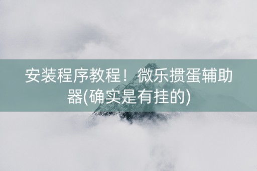 安装程序教程！微乐掼蛋辅助器(确实是有挂的)