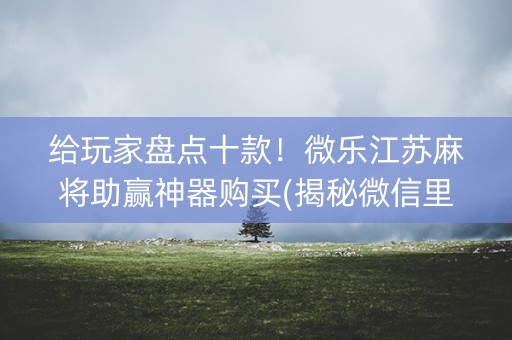 给玩家盘点十款！微乐江苏麻将助赢神器购买(揭秘微信里赢的诀窍)
