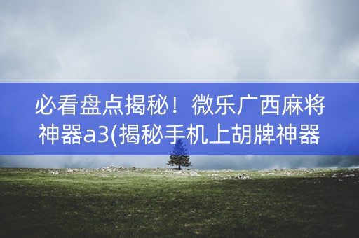 必看盘点揭秘！微乐广西麻将神器a3(揭秘手机上胡牌神器)