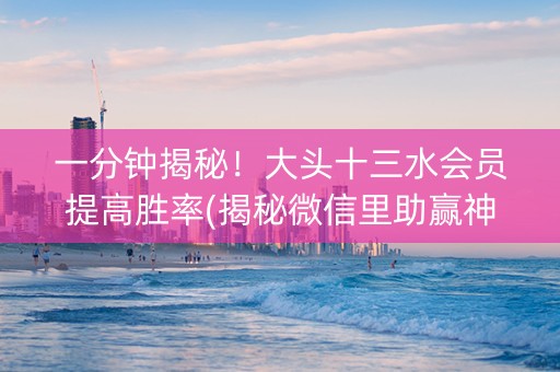 一分钟揭秘！大头十三水会员提高胜率(揭秘微信里助赢神器购买)