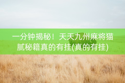 一分钟揭秘！天天九州麻将猫腻秘籍真的有挂(真的有挂)