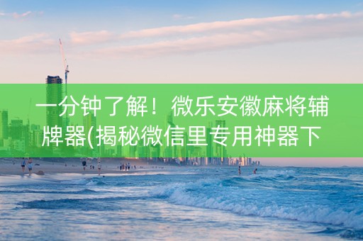 一分钟了解！微乐安徽麻将辅牌器(揭秘微信里专用神器下载)