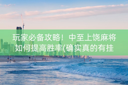 玩家必备攻略！中至上饶麻将如何提高胜率(确实真的有挂)