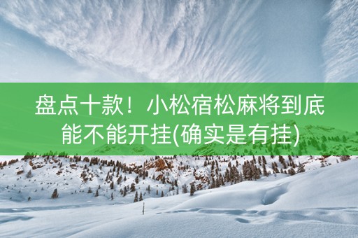 盘点十款！小松宿松麻将到底能不能开挂(确实是有挂)