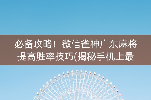 必备攻略！微信雀神广东麻将提高胜率技巧(揭秘手机上最新神器下载)