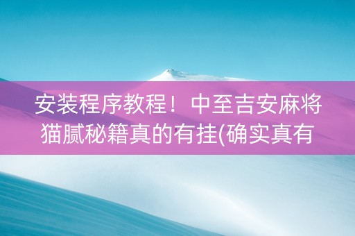安装程序教程！中至吉安麻将猫腻秘籍真的有挂(确实真有挂)
