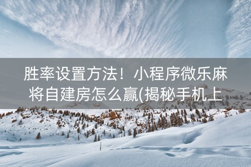 胜率设置方法！小程序微乐麻将自建房怎么赢(揭秘手机上系统发好牌)