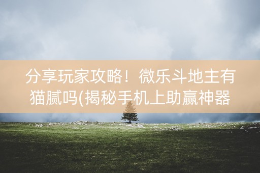 分享玩家攻略！微乐斗地主有猫腻吗(揭秘手机上助赢神器购买)