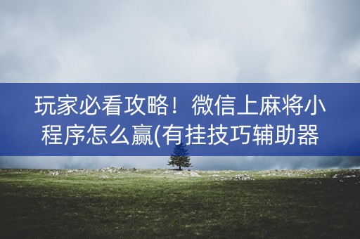 玩家必看攻略！微信上麻将小程序怎么赢(有挂技巧辅助器)