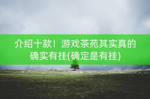 介绍十款！游戏茶苑其实真的确实有挂(确定是有挂)