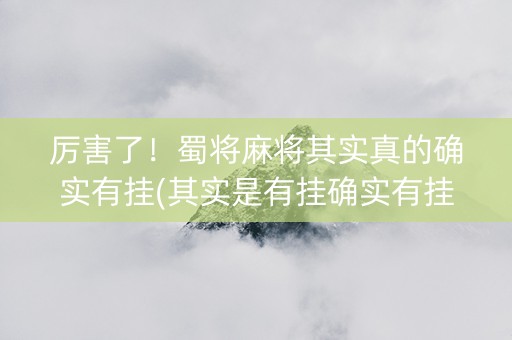 厉害了！蜀将麻将其实真的确实有挂(其实是有挂确实有挂)