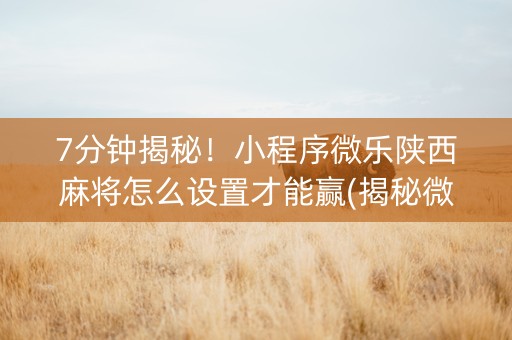 7分钟揭秘！小程序微乐陕西麻将怎么设置才能赢(揭秘微信里插件免费)