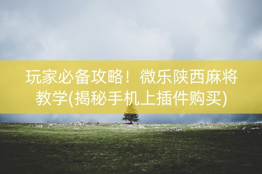 玩家必备攻略！微乐陕西麻将教学(揭秘手机上插件购买)
