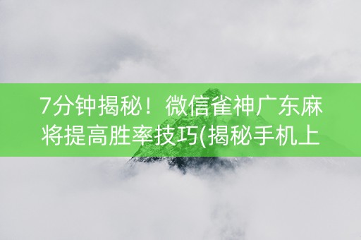 7分钟揭秘！微信雀神广东麻将提高胜率技巧(揭秘手机上赢牌的技巧)