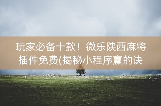 玩家必备十款！微乐陕西麻将插件免费(揭秘小程序赢的诀窍)
