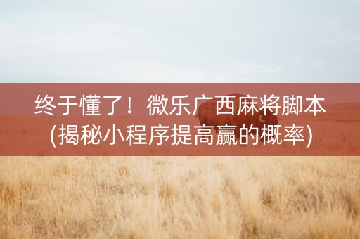 终于懂了！微乐广西麻将脚本(揭秘小程序提高赢的概率)