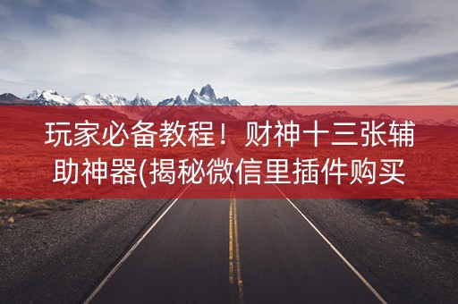 玩家必备教程！财神十三张辅助神器(揭秘微信里插件购买)