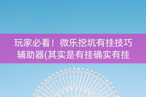 玩家必看！微乐挖坑有挂技巧辅助器(其实是有挂确实有挂)