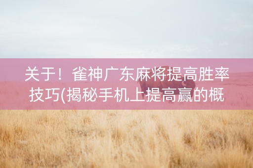 关于！雀神广东麻将提高胜率技巧(揭秘手机上提高赢的概率)