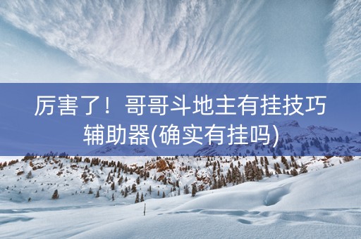 厉害了！哥哥斗地主有挂技巧辅助器(确实有挂吗)