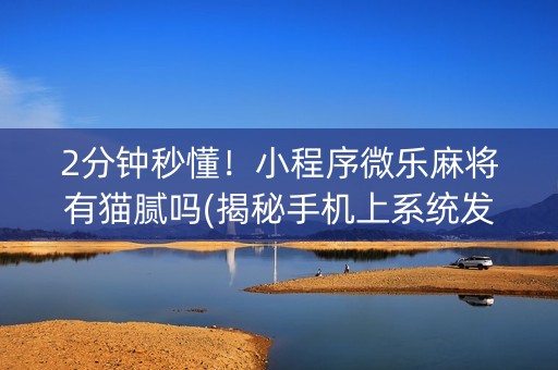 2分钟秒懂！小程序微乐麻将有猫腻吗(揭秘手机上系统发好牌)