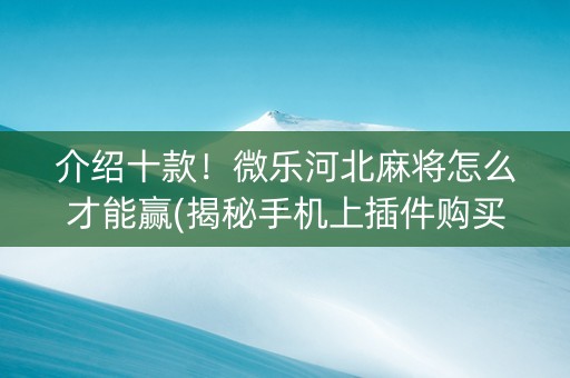 介绍十款！微乐河北麻将怎么才能赢(揭秘手机上插件购买)