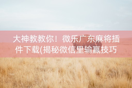 大神教教你！微乐广东麻将插件下载(揭秘微信里输赢技巧)