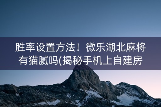 胜率设置方法！微乐湖北麻将有猫腻吗(揭秘手机上自建房怎么赢)