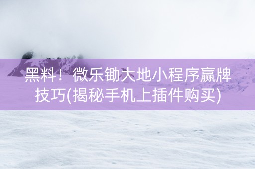 黑料！微乐锄大地小程序赢牌技巧(揭秘手机上插件购买)