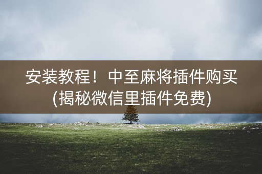 安装教程！中至麻将插件购买(揭秘微信里插件免费)