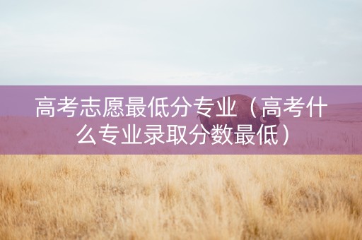 高考志愿最低分专业（高考什么专业录取分数最低）