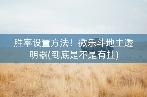 胜率设置方法！微乐斗地主透明器(到底是不是有挂)