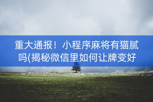 重大通报！小程序麻将有猫腻吗(揭秘微信里如何让牌变好)
