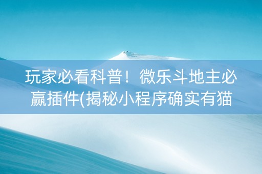 玩家必看科普！微乐斗地主必赢插件(揭秘小程序确实有猫腻)