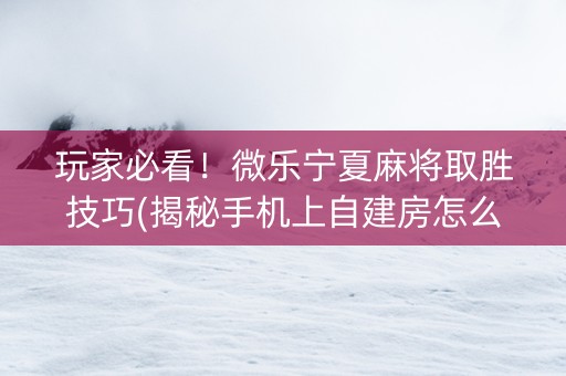 玩家必看！微乐宁夏麻将取胜技巧(揭秘手机上自建房怎么赢)