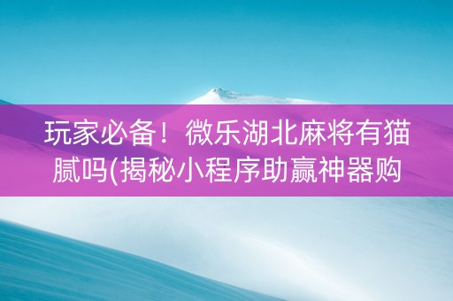 玩家必备！微乐湖北麻将有猫腻吗(揭秘小程序助赢神器购买)