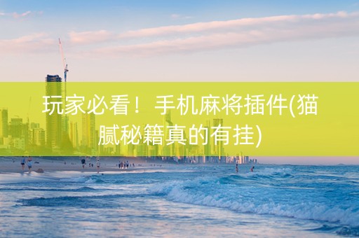 玩家必看！手机麻将插件(猫腻秘籍真的有挂)